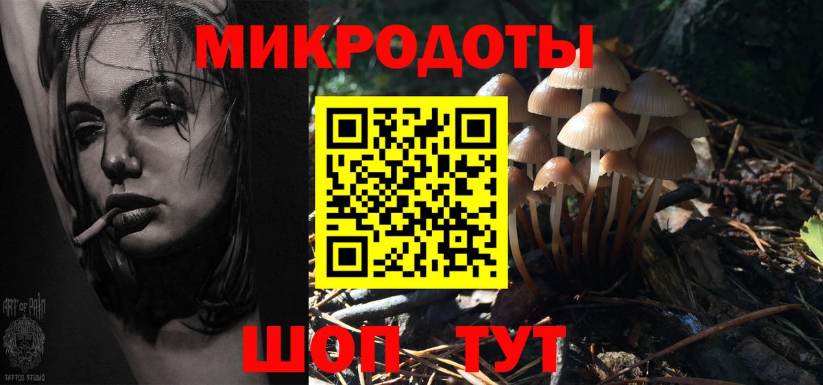 Псилоцибиновые грибы Psilocybine cubensis Саяногорск