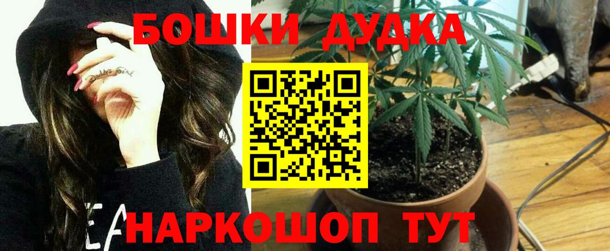 Конопля индика  Канабис гибрид  Бошки марихуана Bruce Banner  Вход с VPN  Саяногорск 